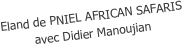 Eland de PNIEL AFRICAN SAFARIS
avec Didier Manoujian